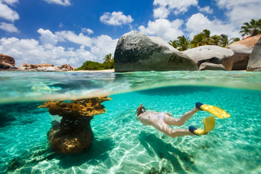 BVI Snorkeling